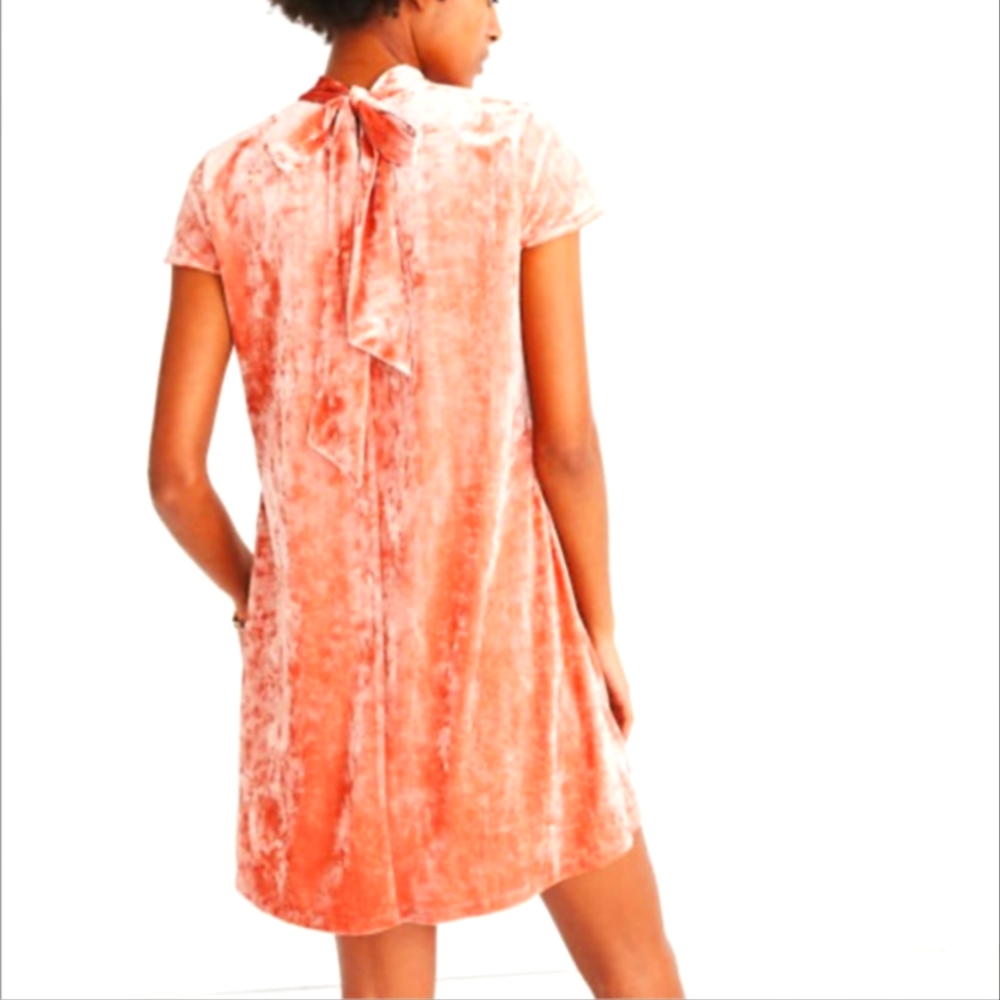 Madewell Velvet Dress